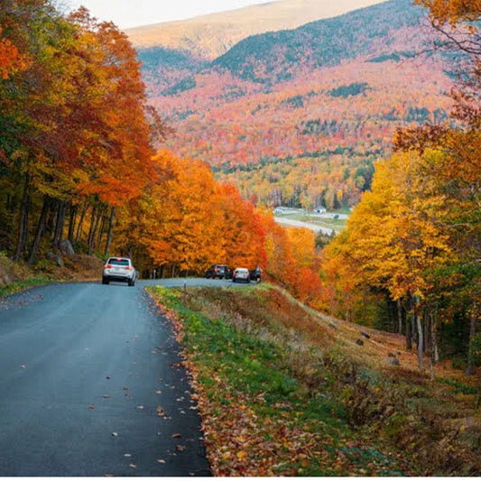 Autumn and Winter Camping Tips: Popular Destinations and Practical Advice