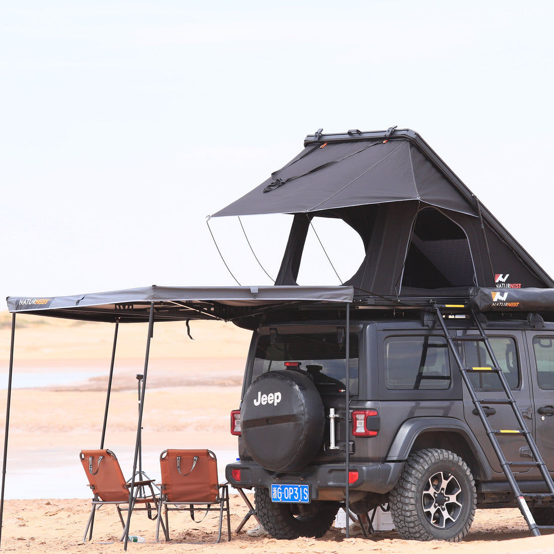 Practical Tips for Preventing Mold and Moisture in Rooftop Tents